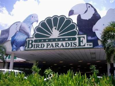 تفریحات لنکاوی| پارک آبی آفرودیت لنکاوی|مالزی|تور لنکاوی|باغ پرندگان لنکاوی|