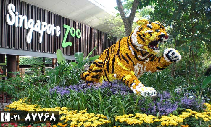 دیدنی های سنگاپور|موزه تاریخ سنگاپور| باغ وحش سنگاپور|